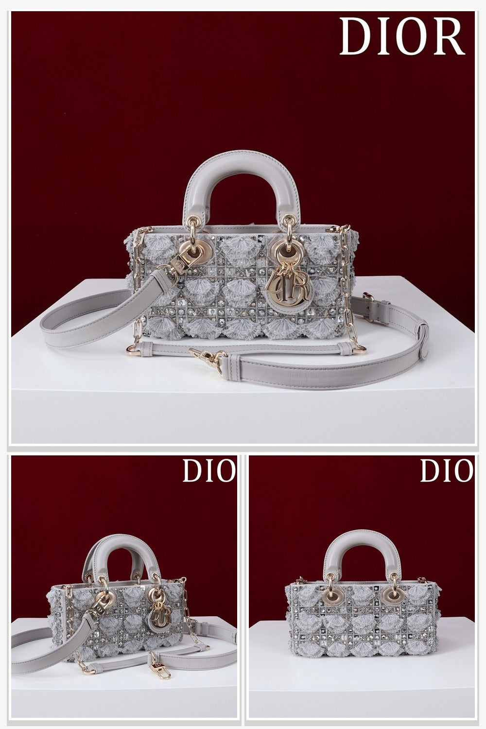 Dior Bags 059
