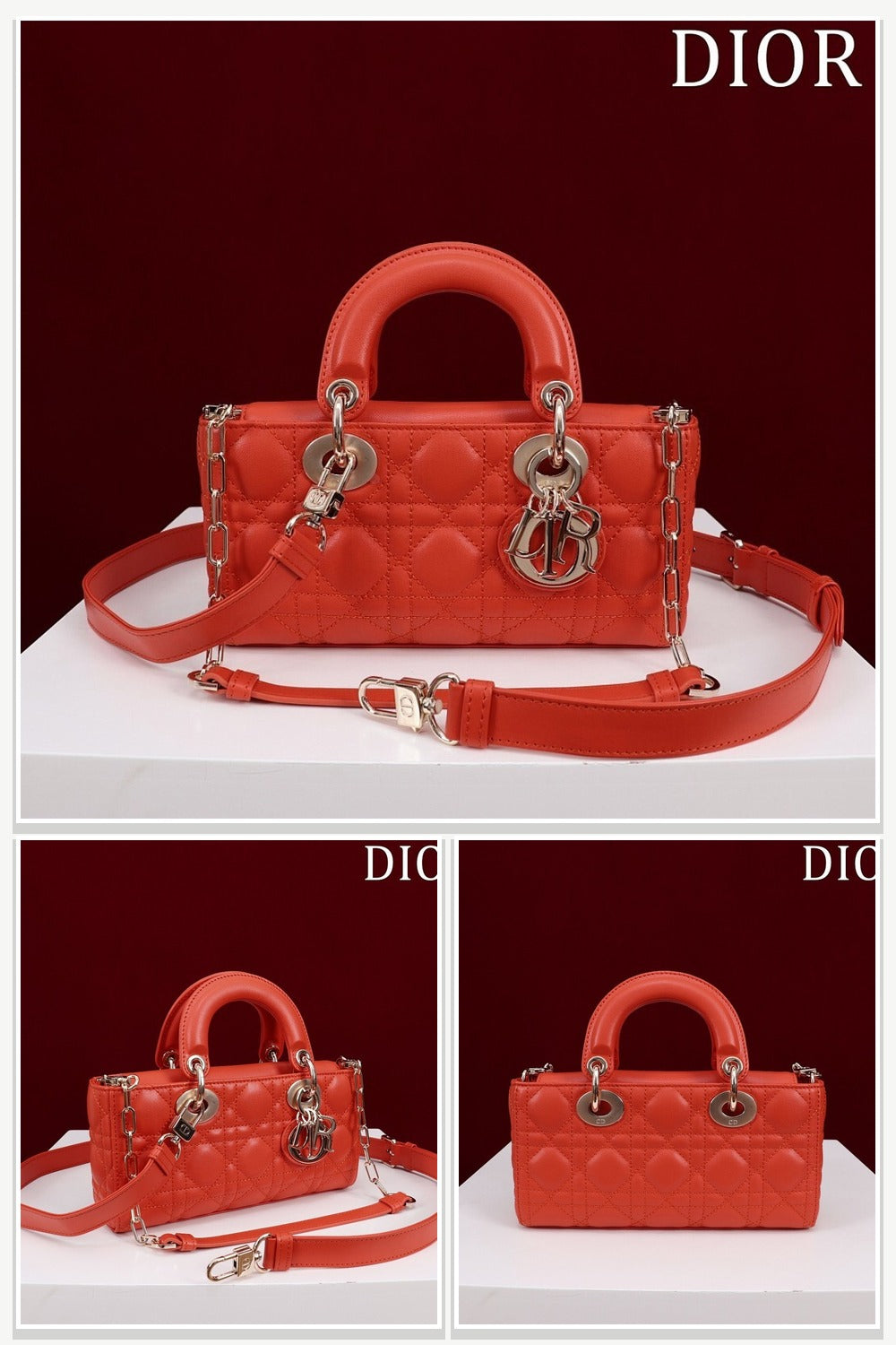 Dior Bags 094
