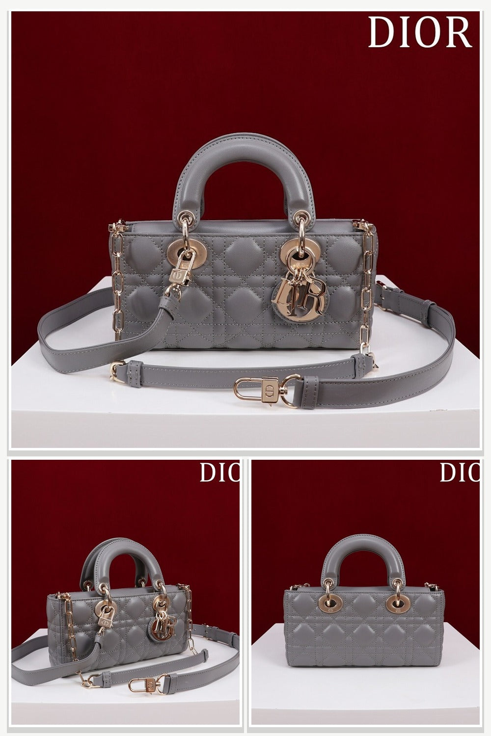 Dior Bags 095