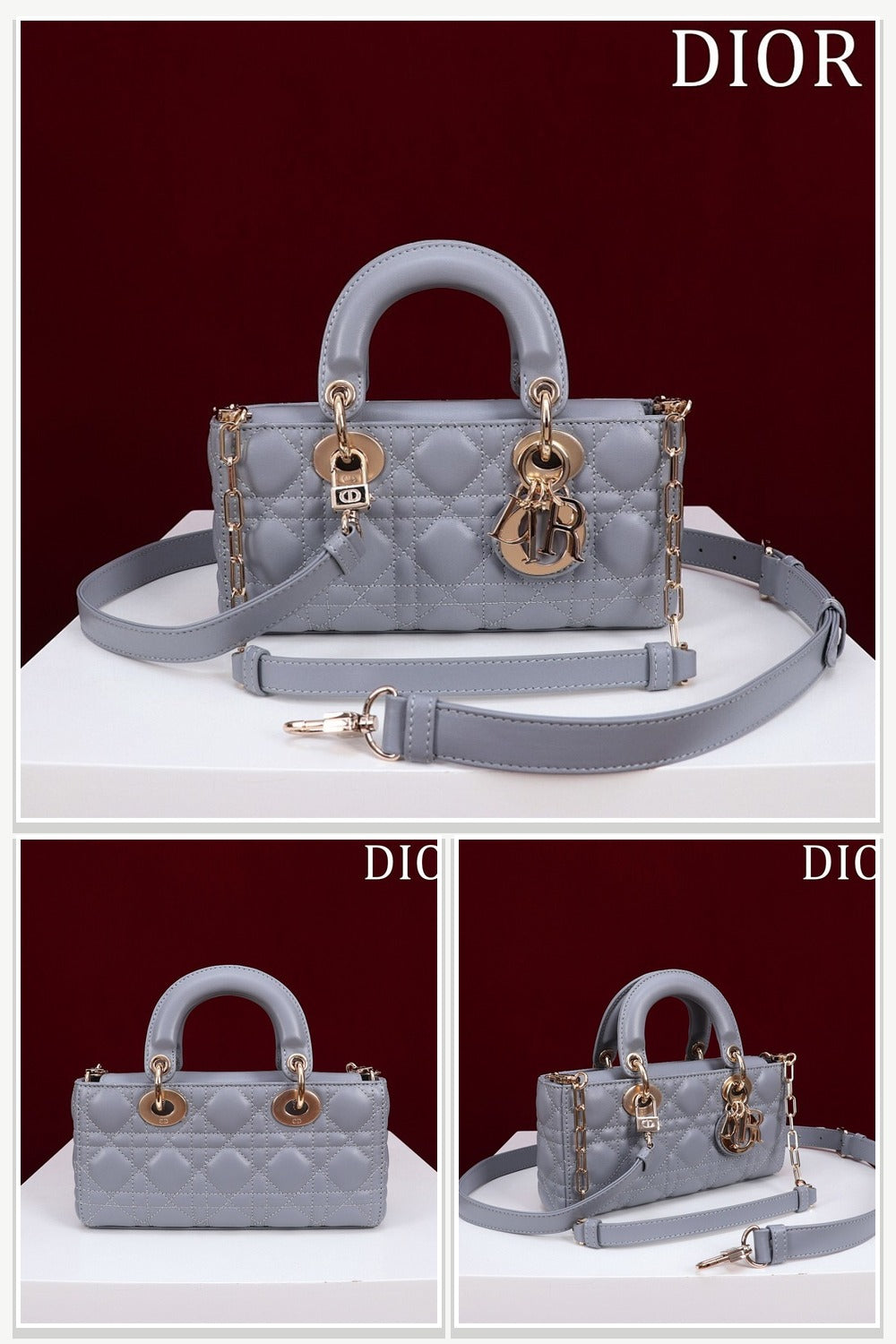 Dior Bags 096