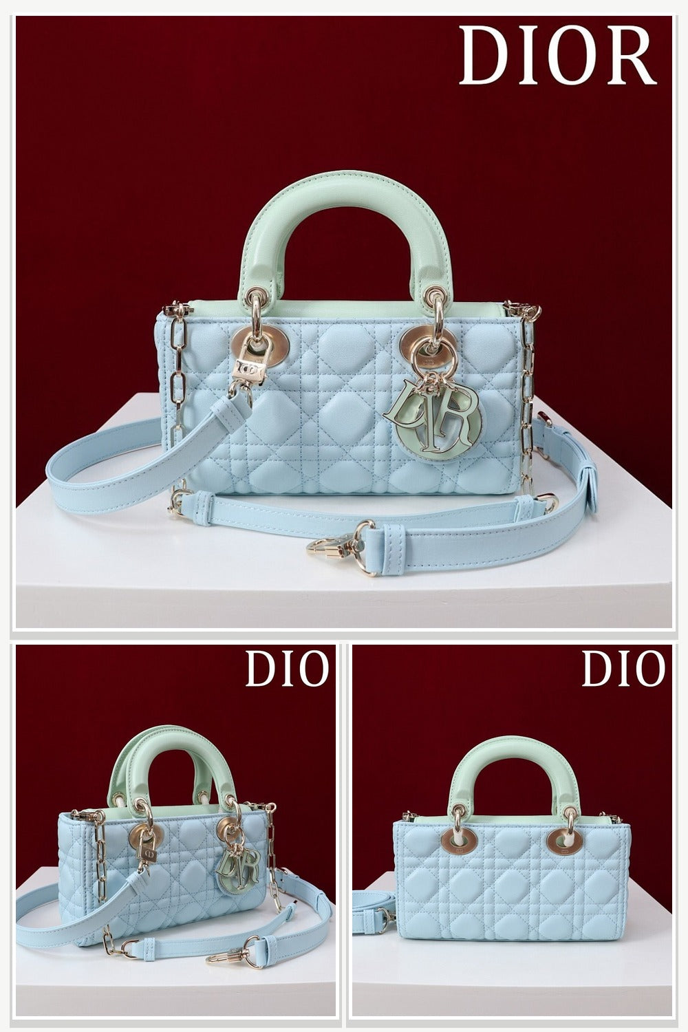 Dior Bags 193