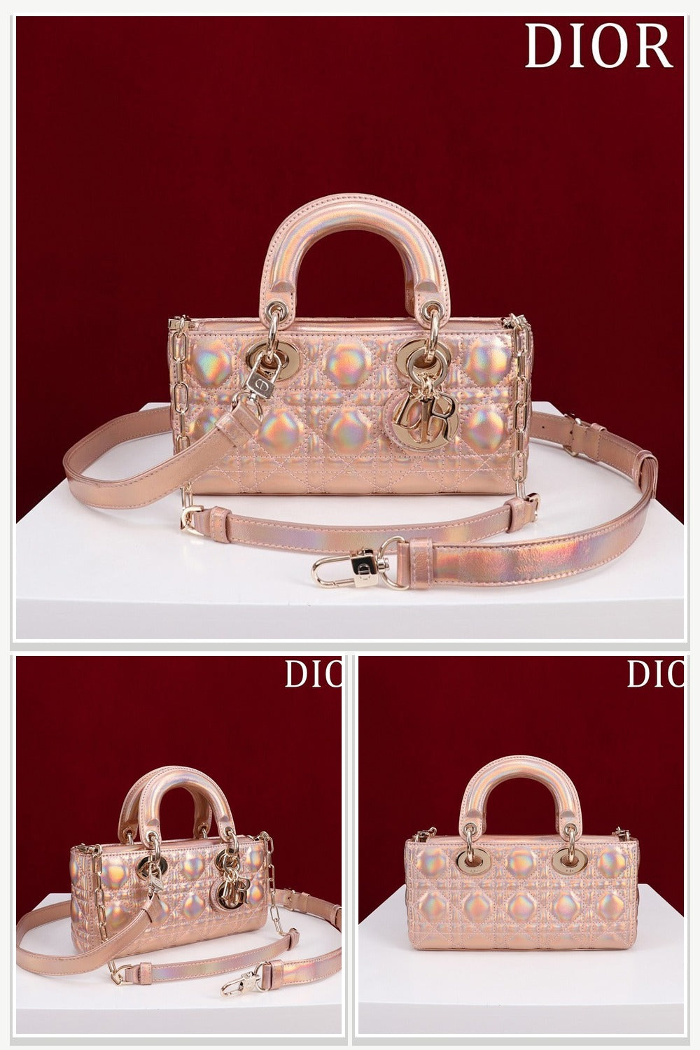Dior Bags 216