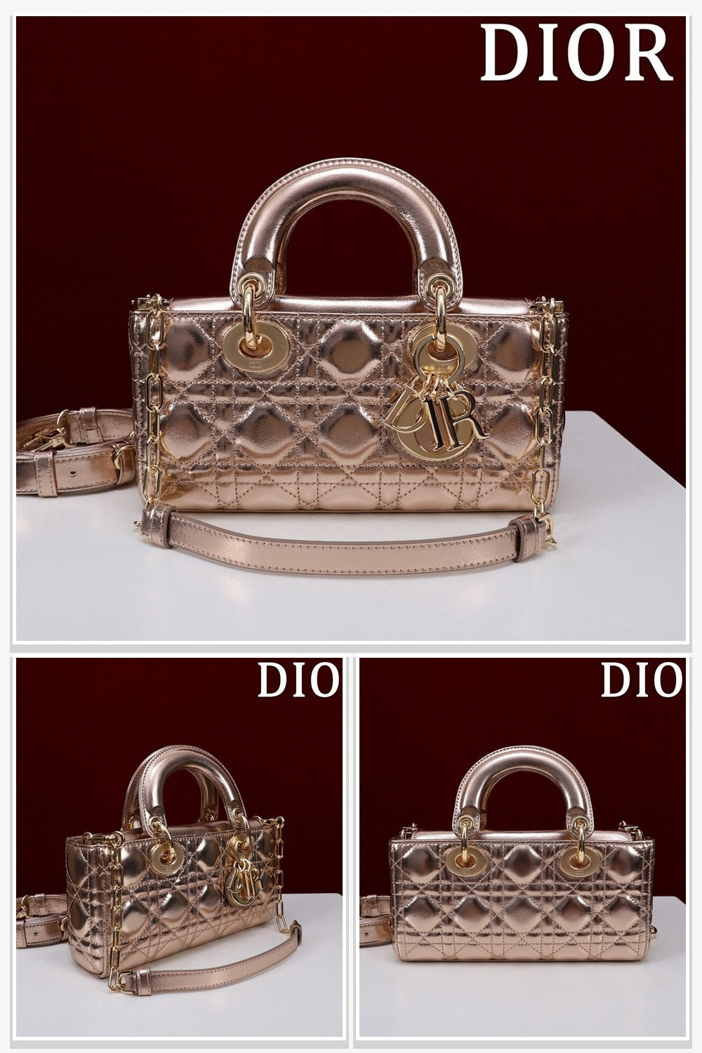 Dior Bags 218