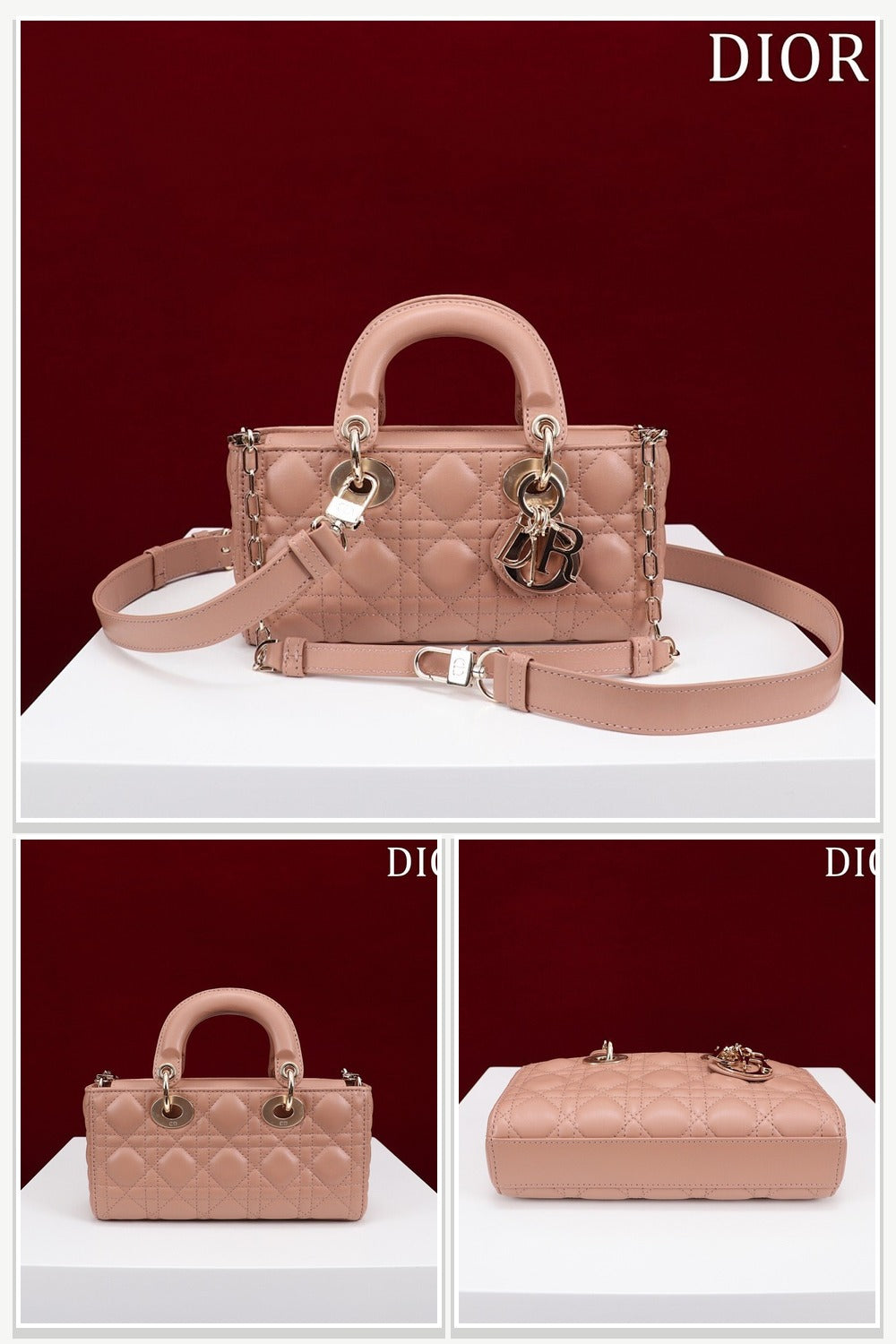 Dior Bags 220