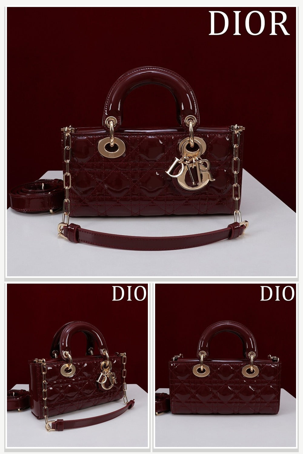 Dior Bags 098