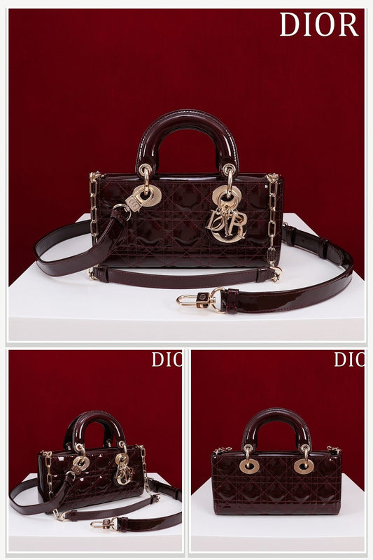 Dior Bags 099
