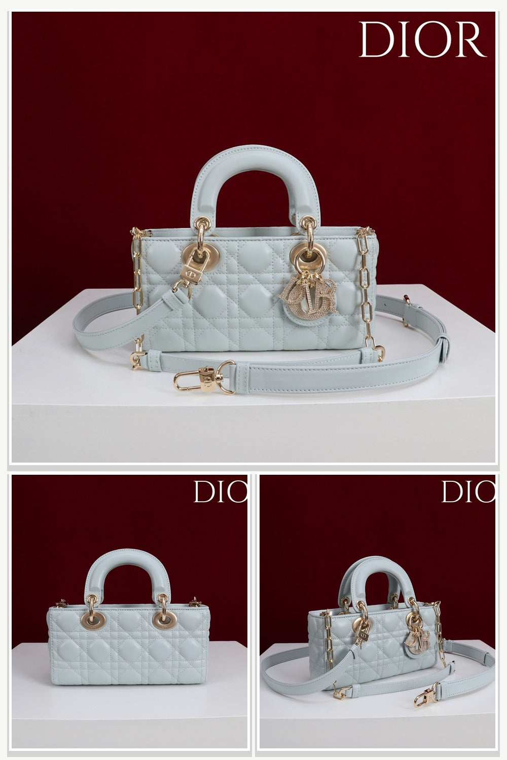 Dior Bags 100