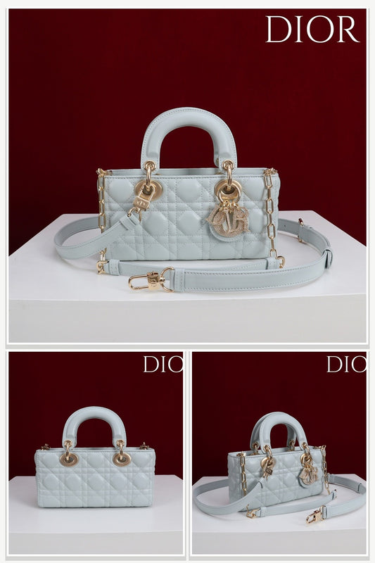 Dior Bags 100