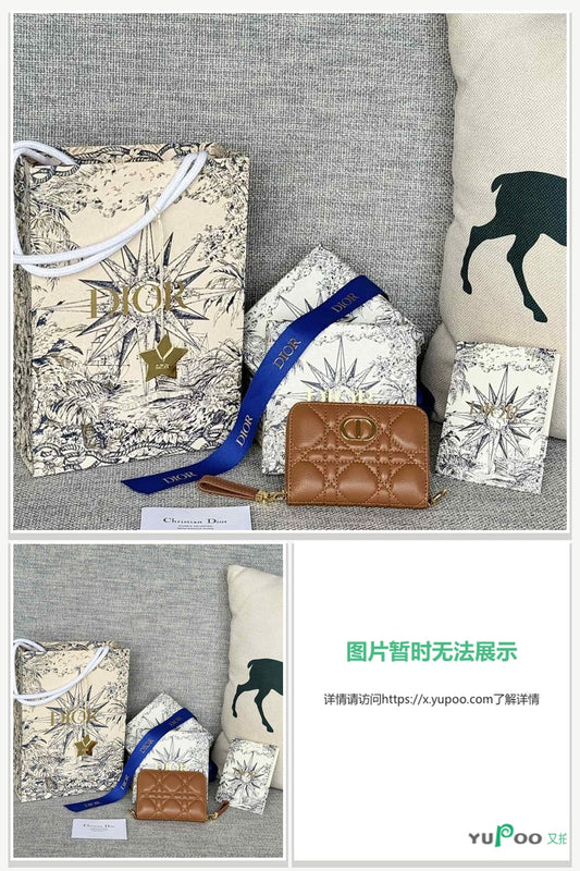 Dior Bags 160