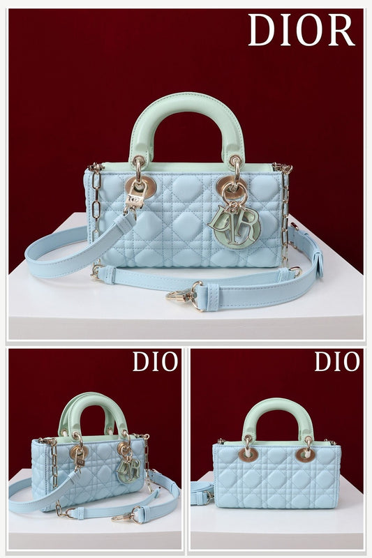 Dior Bags 193