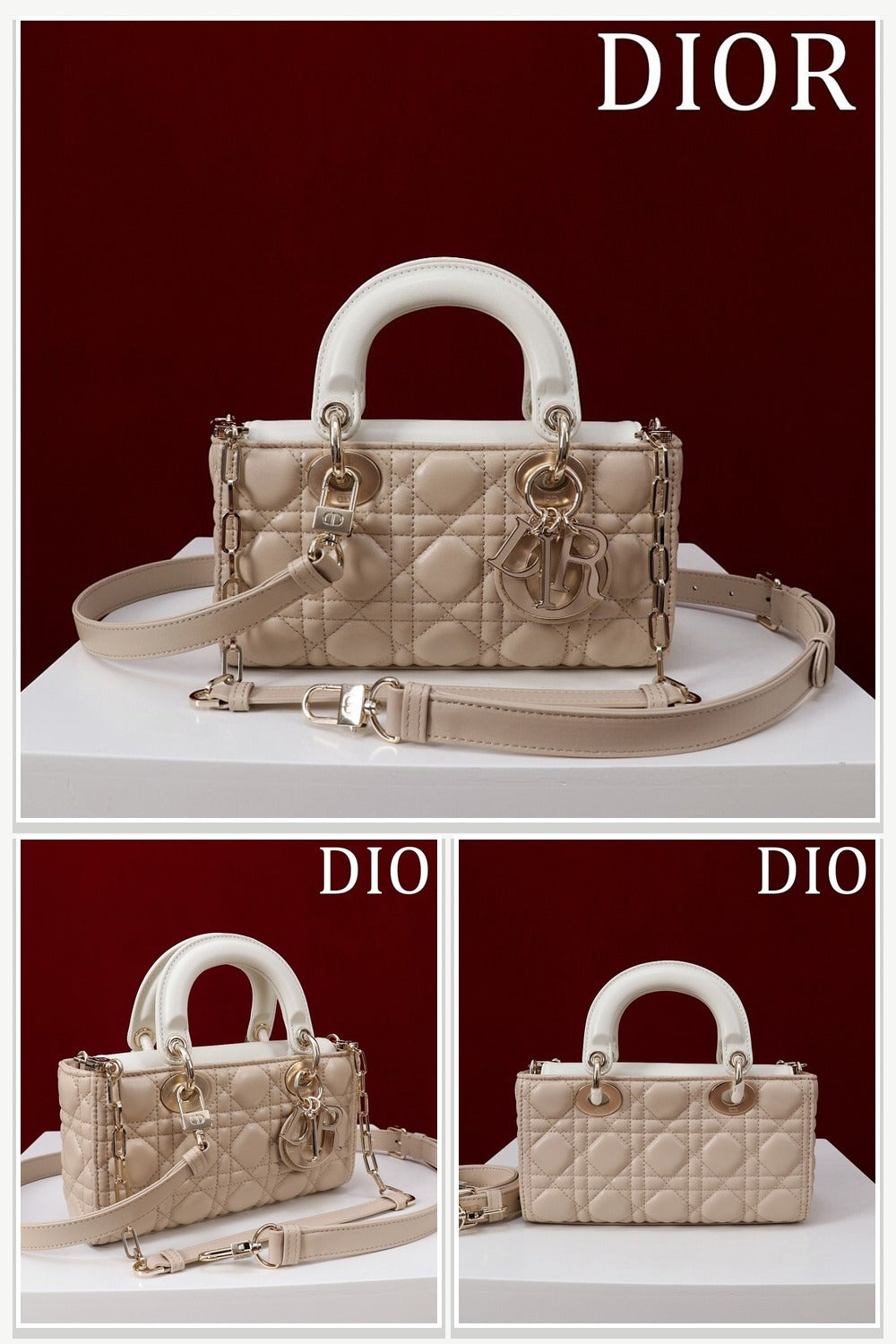 Dior Bags 196