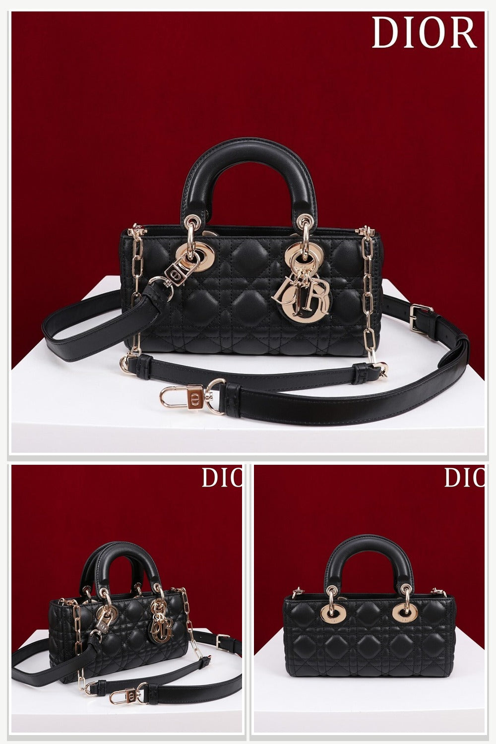 Dior Bags 208