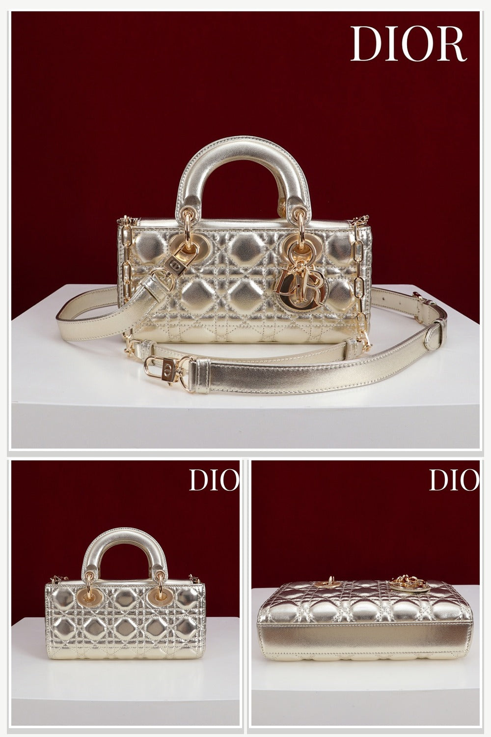 Dior Bags 209