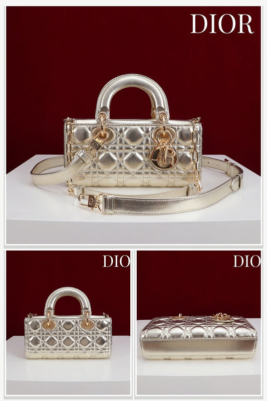 Dior Bags 209