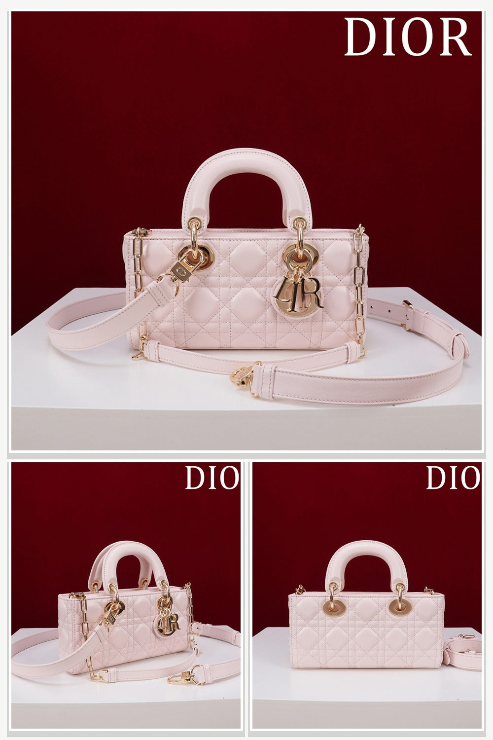 Dior Bags 210
