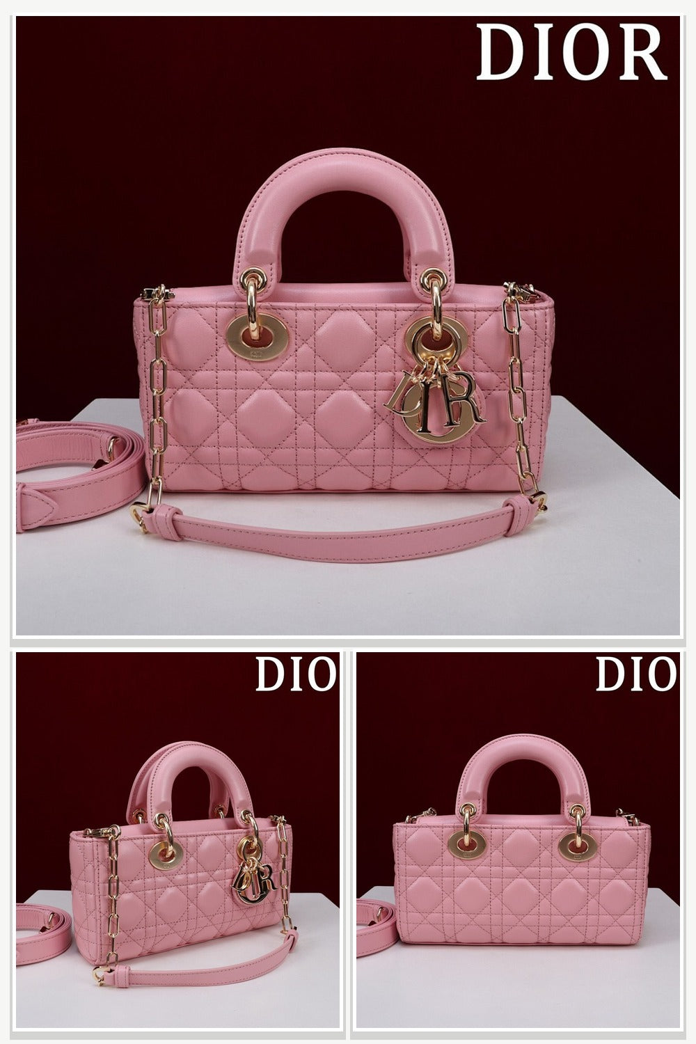 Dior Bags 219