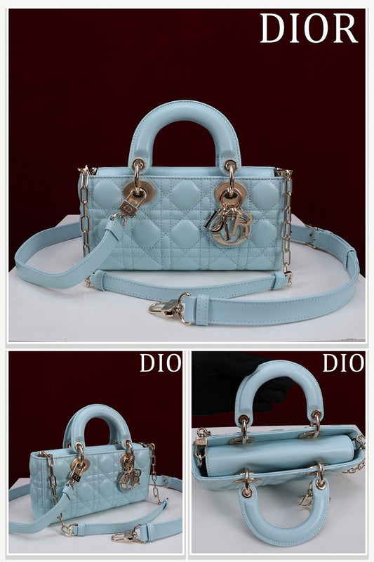 Dior Bags 221