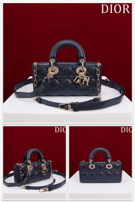 Dior Bags 223