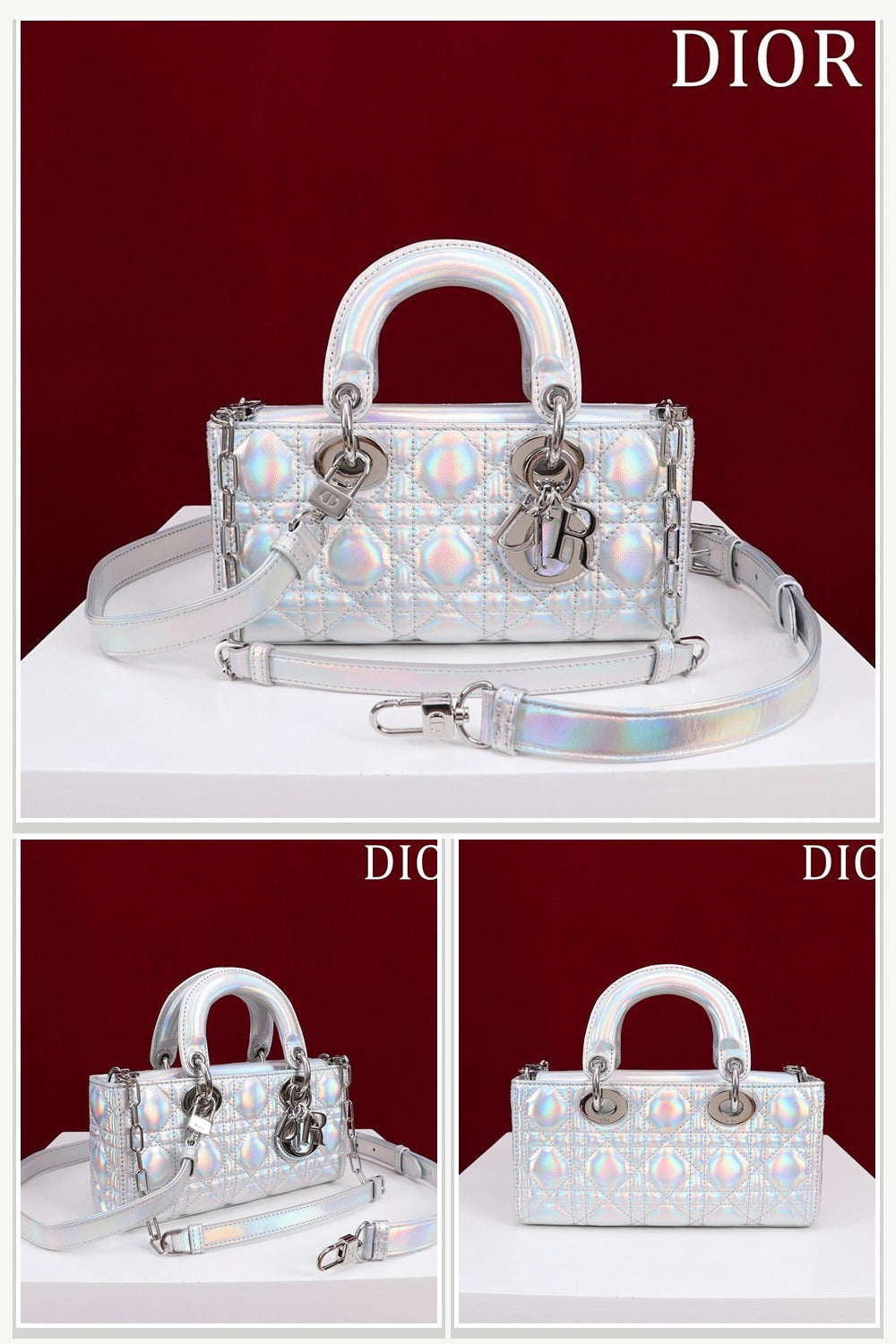 Dior Bags 224
